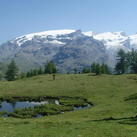 Champoluc Apartment Экстерьер фото